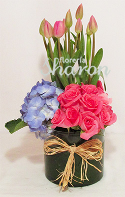 Arreglo de Tulipanes & Rosas Cascada Nívea – Florería Sharon | Arreglos  Florales | Canasta Frutal | Envío de Flores | Arreglos condolencias |